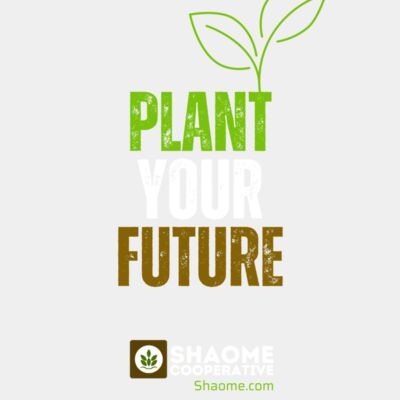 plant your future  1  Thumbnail