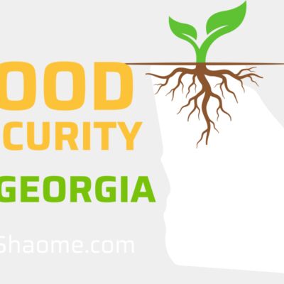 Food Security in GA Thumbnail