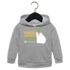 Toddler Sponge Fleece Pullover Hoodie Thumbnail